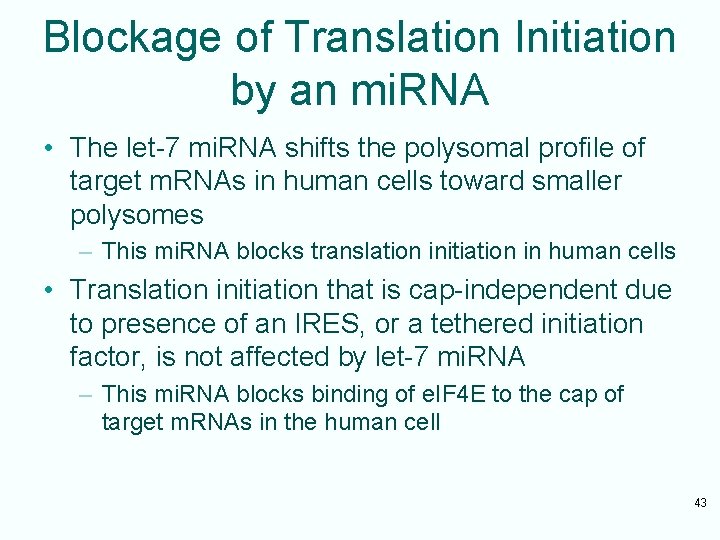 Blockage of Translation Initiation by an mi. RNA • The let-7 mi. RNA shifts