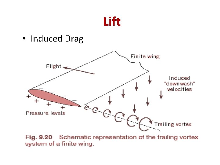 Lift • Induced Drag 