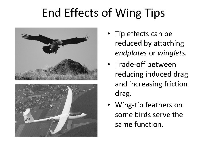 End Effects of Wing Tips • Tip effects can be reduced by attaching endplates