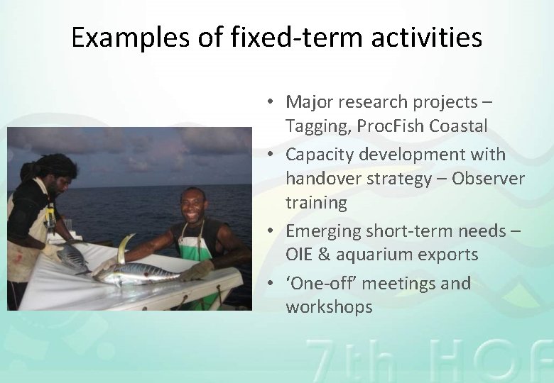 Examples of fixed-term activities • Major research projects – Tagging, Proc. Fish Coastal •