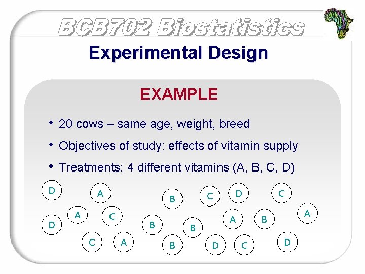 Experimental Design EXAMPLE • • • 20 cows – same age, weight, breed Objectives