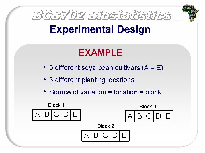 Experimental Design EXAMPLE • • • 5 different soya bean cultivars (A – E)