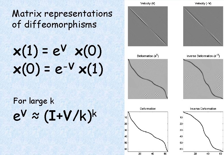 Matrix representations of diffeomorphisms V e x(1) = x(0) -V x(0) = e x(1)