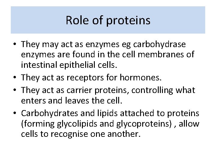 Role of proteins • They may act as enzymes eg carbohydrase enzymes are found