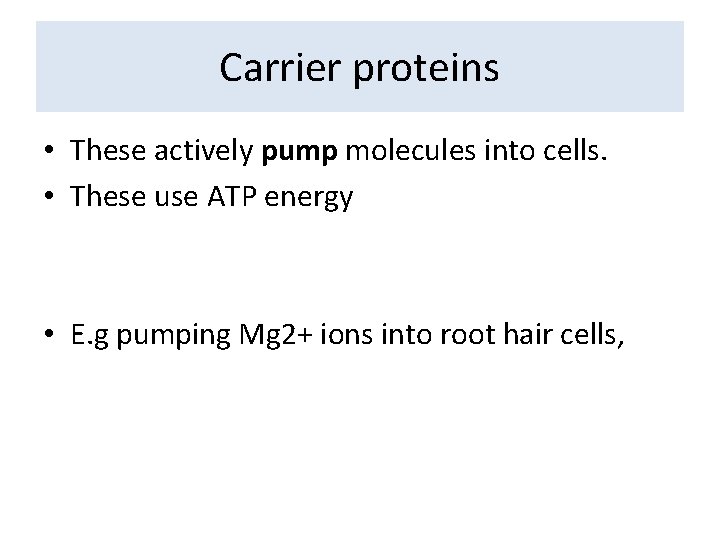 Carrier proteins • These actively pump molecules into cells. • These use ATP energy