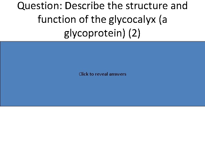 Question: Describe the structure and function of the glycocalyx (a glycoprotein) (2) • •