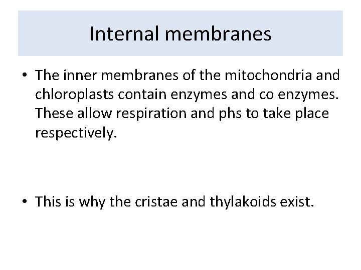 Internal membranes • The inner membranes of the mitochondria and chloroplasts contain enzymes and