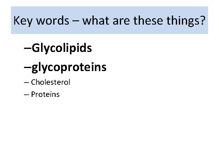 Key words – what are these things? –Glycolipids –glycoproteins – Cholesterol – Proteins 