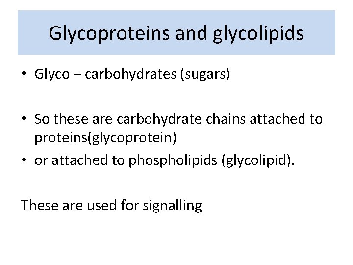Glycoproteins and glycolipids • Glyco – carbohydrates (sugars) • So these are carbohydrate chains