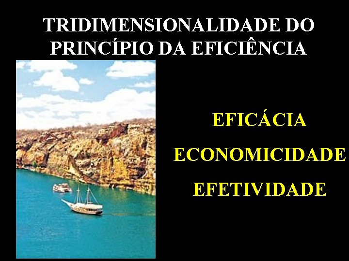TRIDIMENSIONALIDADE DO PRINCÍPIO DA EFICIÊNCIA EFICÁCIA ECONOMICIDADE EFETIVIDADE 