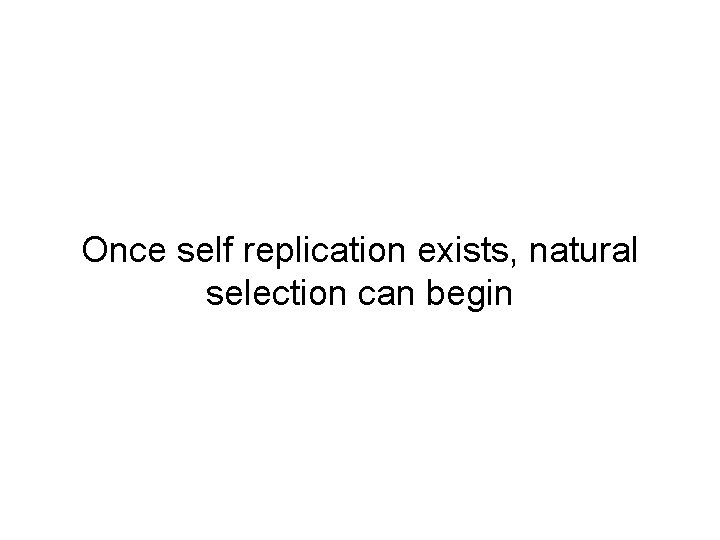 Once self replication exists, natural selection can begin 