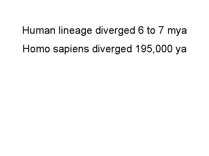 Human lineage diverged 6 to 7 mya Homo sapiens diverged 195, 000 ya 