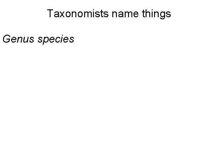 Taxonomists name things Genus species 