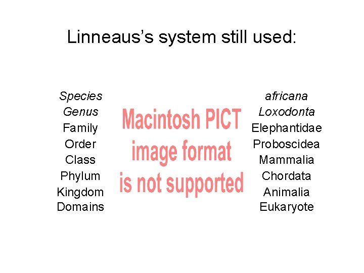 Linneaus’s system still used: Species Genus Family Order Class Phylum Kingdom Domains africana Loxodonta