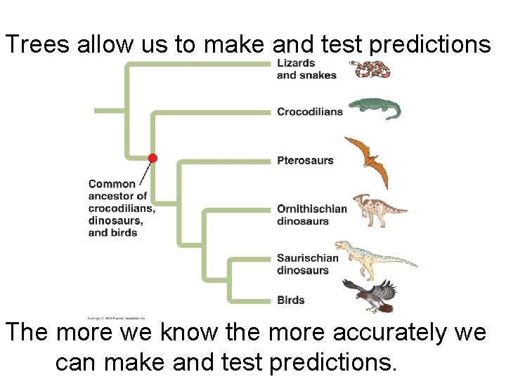 Trees allow us to make and test predictions The more we know the more