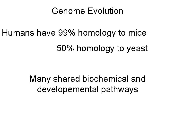 Genome Evolution Humans have 99% homology to mice 50% homology to yeast Many shared