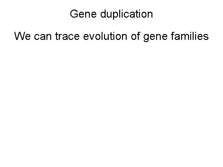 Gene duplication We can trace evolution of gene families 