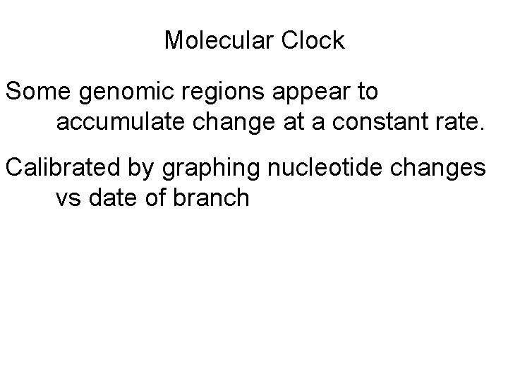 Molecular Clock Some genomic regions appear to accumulate change at a constant rate. Calibrated