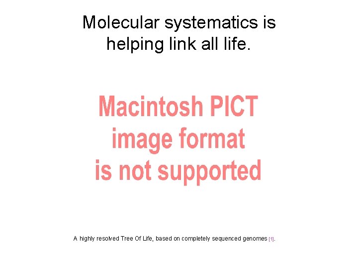 Molecular systematics is helping link all life. A highly resolved Tree Of Life, based