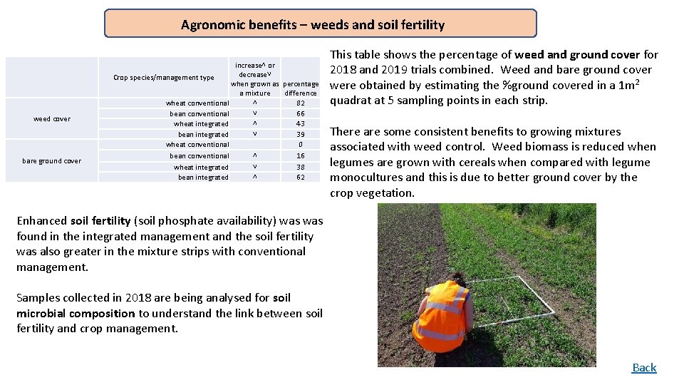 Agronomic benefits – weeds and soil fertility weed cover bare ground cover increase˄ or