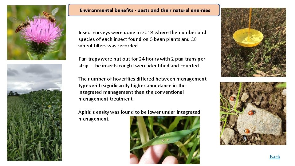 Environmental benefits - pests and their natural enemies Insect surveys were done in 2018