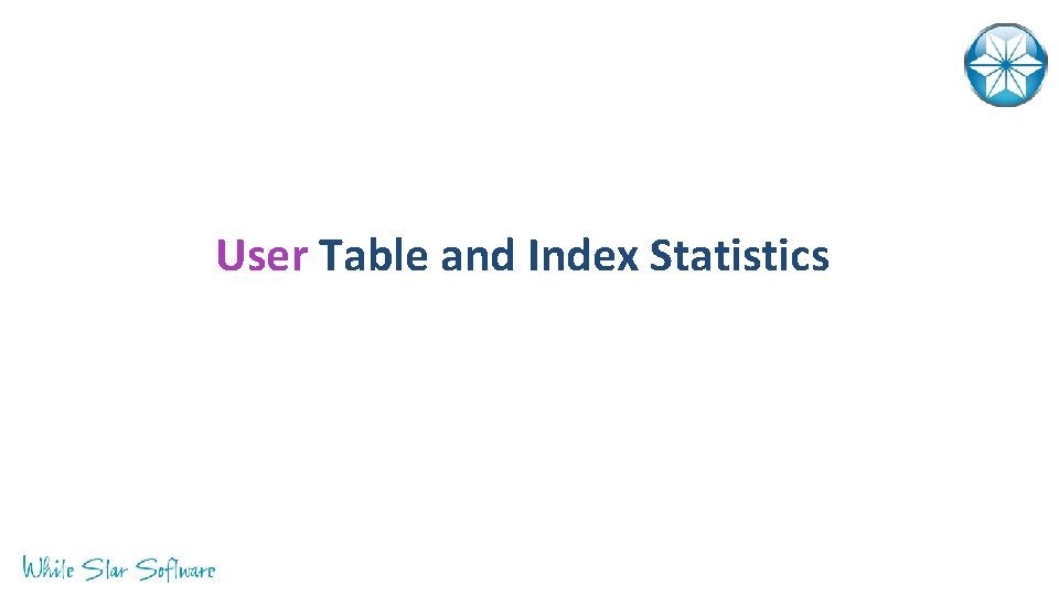 User Table and Index Statistics 