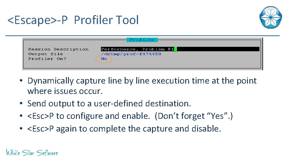 <Escape>-P Profiler Tool • Dynamically capture line by line execution time at the point