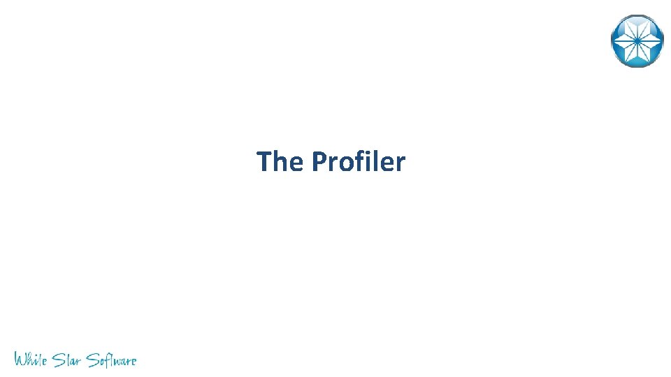 The Profiler 