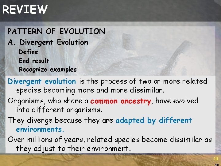 REVIEW PATTERN OF EVOLUTION A. Divergent Evolution Define End result Recognize examples Divergent evolution