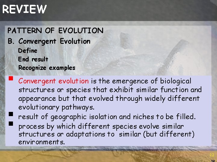 REVIEW PATTERN OF EVOLUTION B. Convergent Evolution Define End result Recognize examples § Convergent
