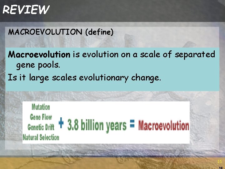 REVIEW MACROEVOLUTION (define) Macroevolution is evolution on a scale of separated gene pools. Is