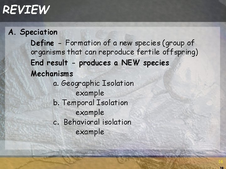 REVIEW A. Speciation Define - Formation of a new species (group of organisms that