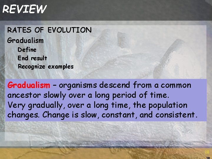 REVIEW RATES OF EVOLUTION Gradualism Define End result Recognize examples Gradualism – organisms descend