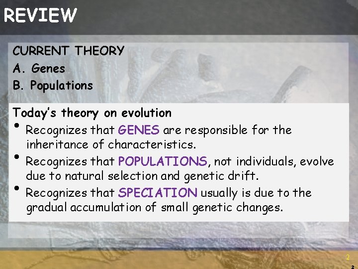 REVIEW CURRENT THEORY A. Genes B. Populations Today’s theory on evolution Recognizes that GENES