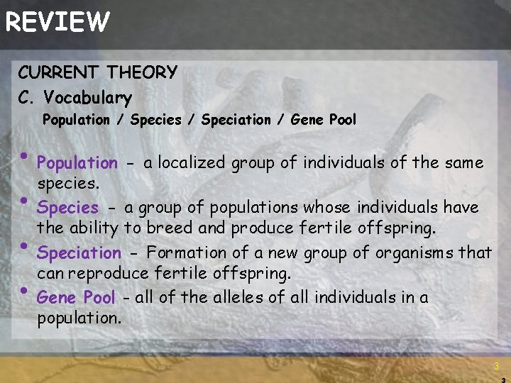 REVIEW CURRENT THEORY C. Vocabulary Population / Species / Speciation / Gene Pool •