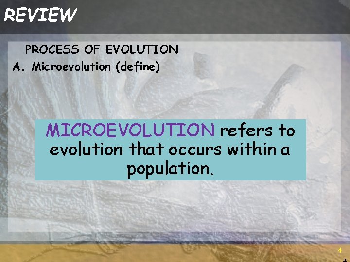 REVIEW PROCESS OF EVOLUTION A. Microevolution (define) MICROEVOLUTION refers to evolution that occurs within