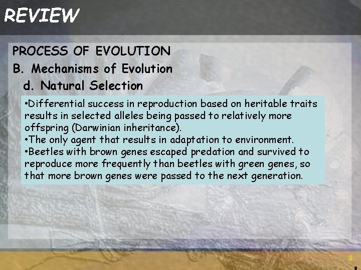 REVIEW PROCESS OF EVOLUTION B. Mechanisms of Evolution d. Natural Selection • Differential success