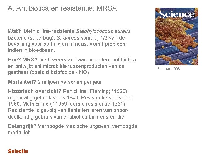 A. Antibiotica en resistentie: MRSA Wat? Methicilline-resistente Staphylococcus aureus bacterie (superbug). S. aureus komt