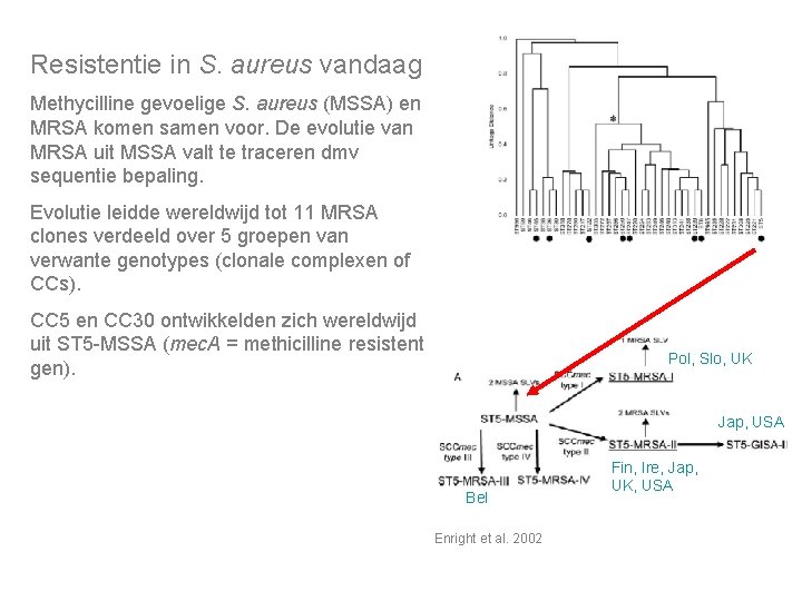 Resistentie in S. aureus vandaag Methycilline gevoelige S. aureus (MSSA) en MRSA komen samen