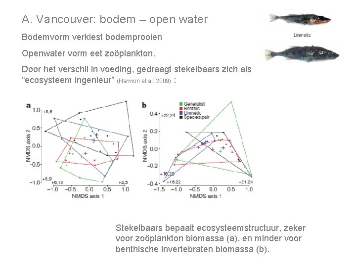 A. Vancouver: bodem – open water Bodemvorm verkiest bodemprooien Openwater vorm eet zoöplankton. Door