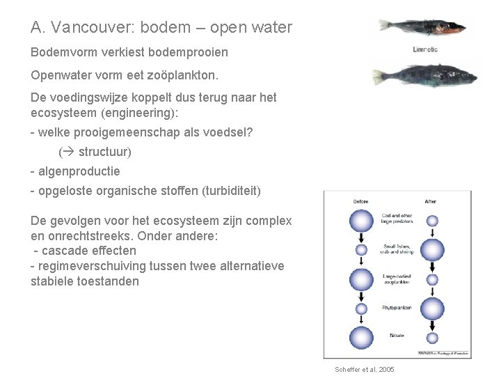 A. Vancouver: bodem – open water Bodemvorm verkiest bodemprooien Openwater vorm eet zoöplankton. De