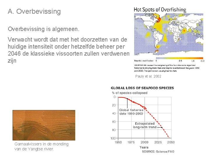 A. Overbevissing is algemeen. Verwacht wordt dat met het doorzetten van de huidige intensiteit