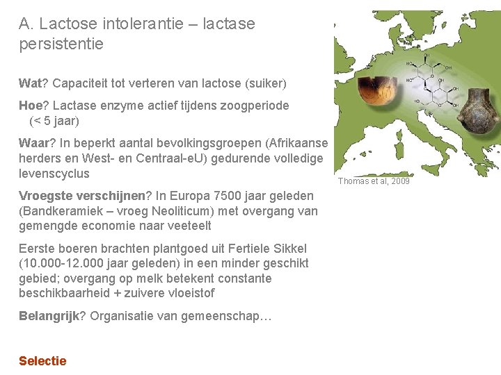 A. Lactose intolerantie – lactase persistentie Wat? Capaciteit tot verteren van lactose (suiker) Hoe?