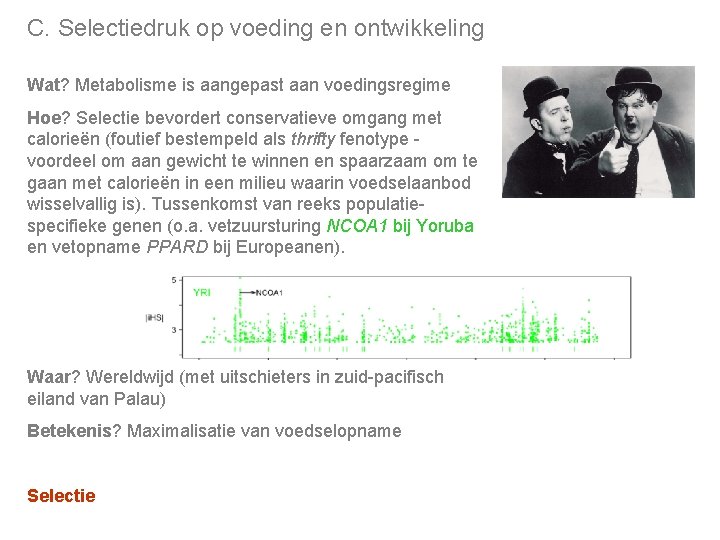 C. Selectiedruk op voeding en ontwikkeling Wat? Metabolisme is aangepast aan voedingsregime Hoe? Selectie