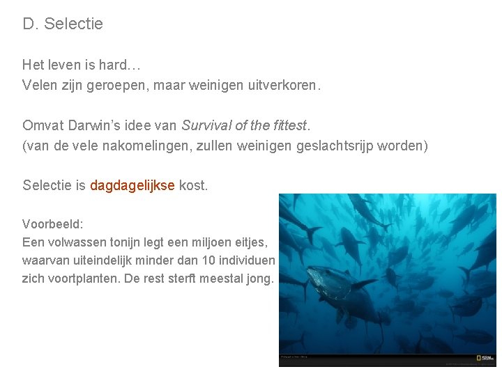 D. Selectie Het leven is hard… Velen zijn geroepen, maar weinigen uitverkoren. Omvat Darwin’s