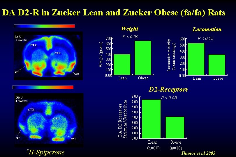 DA D 2 -R in Zucker Lean and Zucker Obese (fa/fa) Rats 700 600
