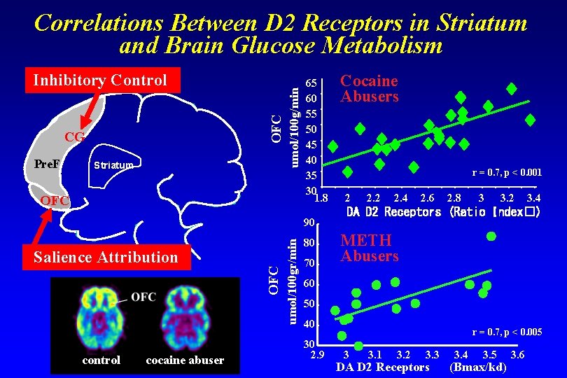 OFC Inhibitory Control CG Pre. F Striatum umol/100 g/min Correlations Between D 2 Receptors