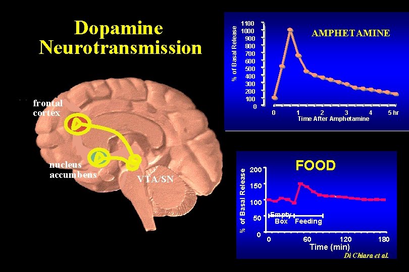 nucleus accumbens VTA/SN % of Basal Release frontal cortex % of Basal Release Dopamine