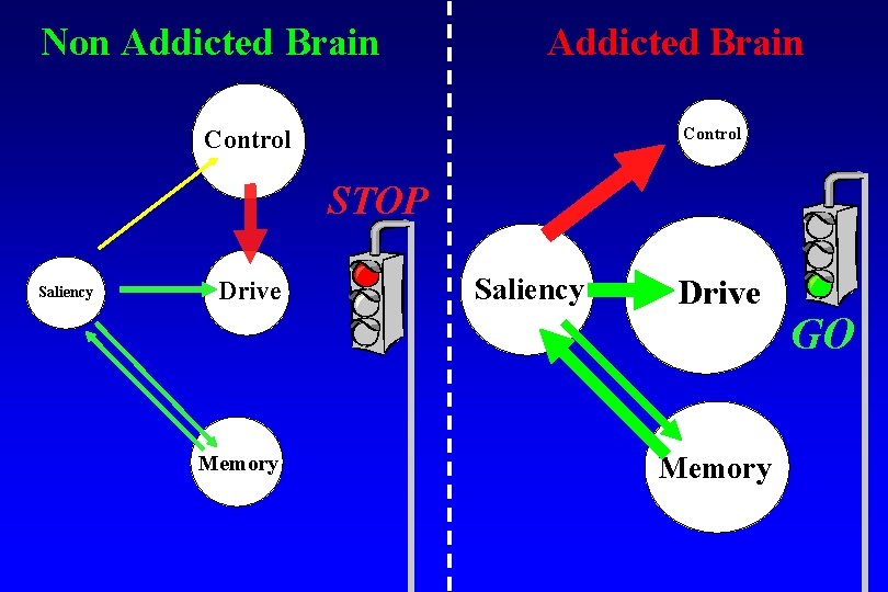 Non Addicted Brain Control STOP Saliency Drive Memory GO 