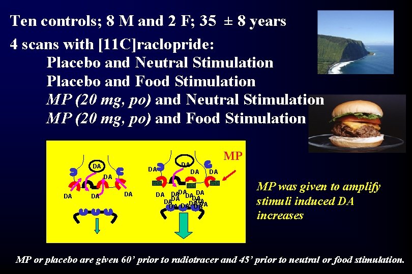 Ten controls; 8 M and 2 F; 35 ± 8 years 4 scans with